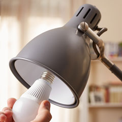 LED Light Bulbs LED Light Bulbs